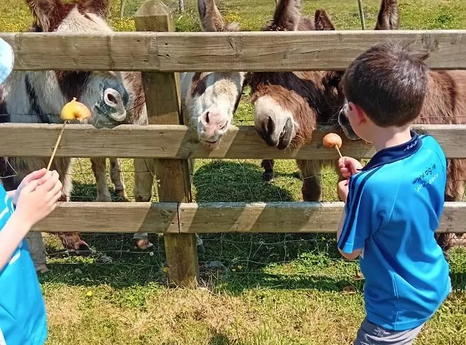 Atlantic View Portnoo Apartment